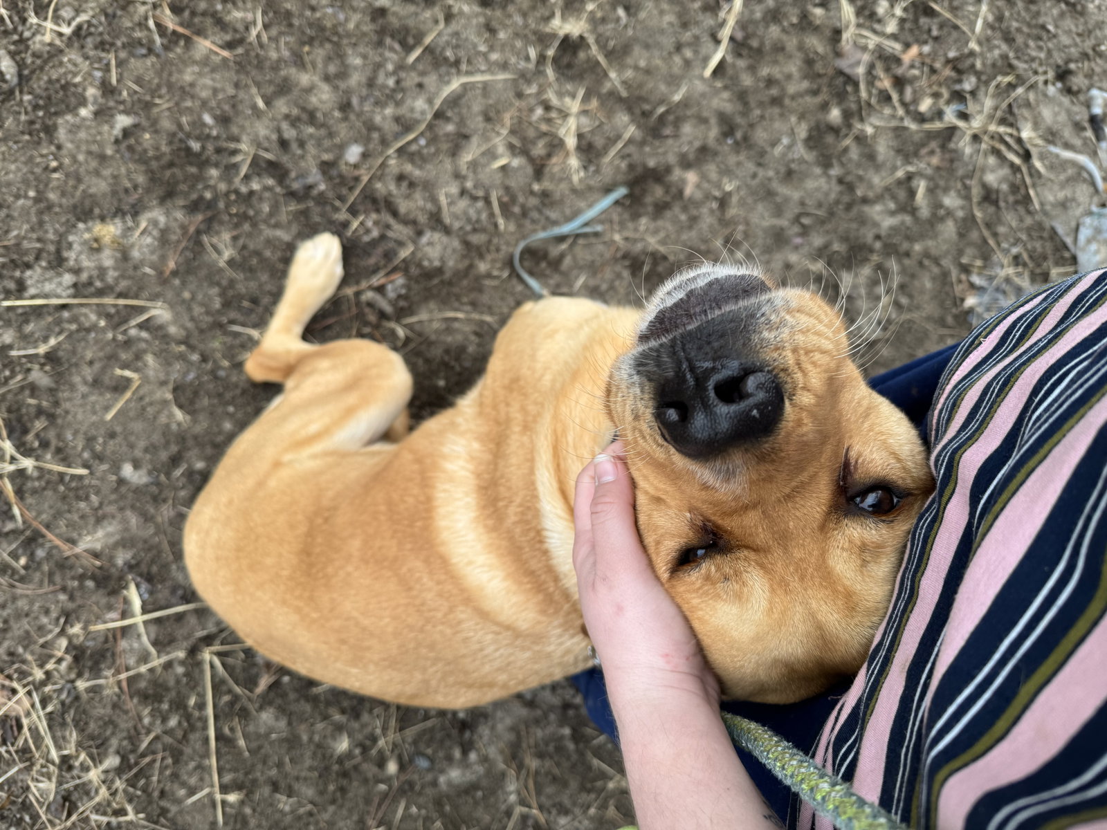 Peaches, photo 20