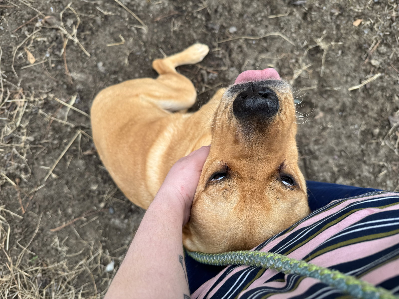 Peaches, photo 17