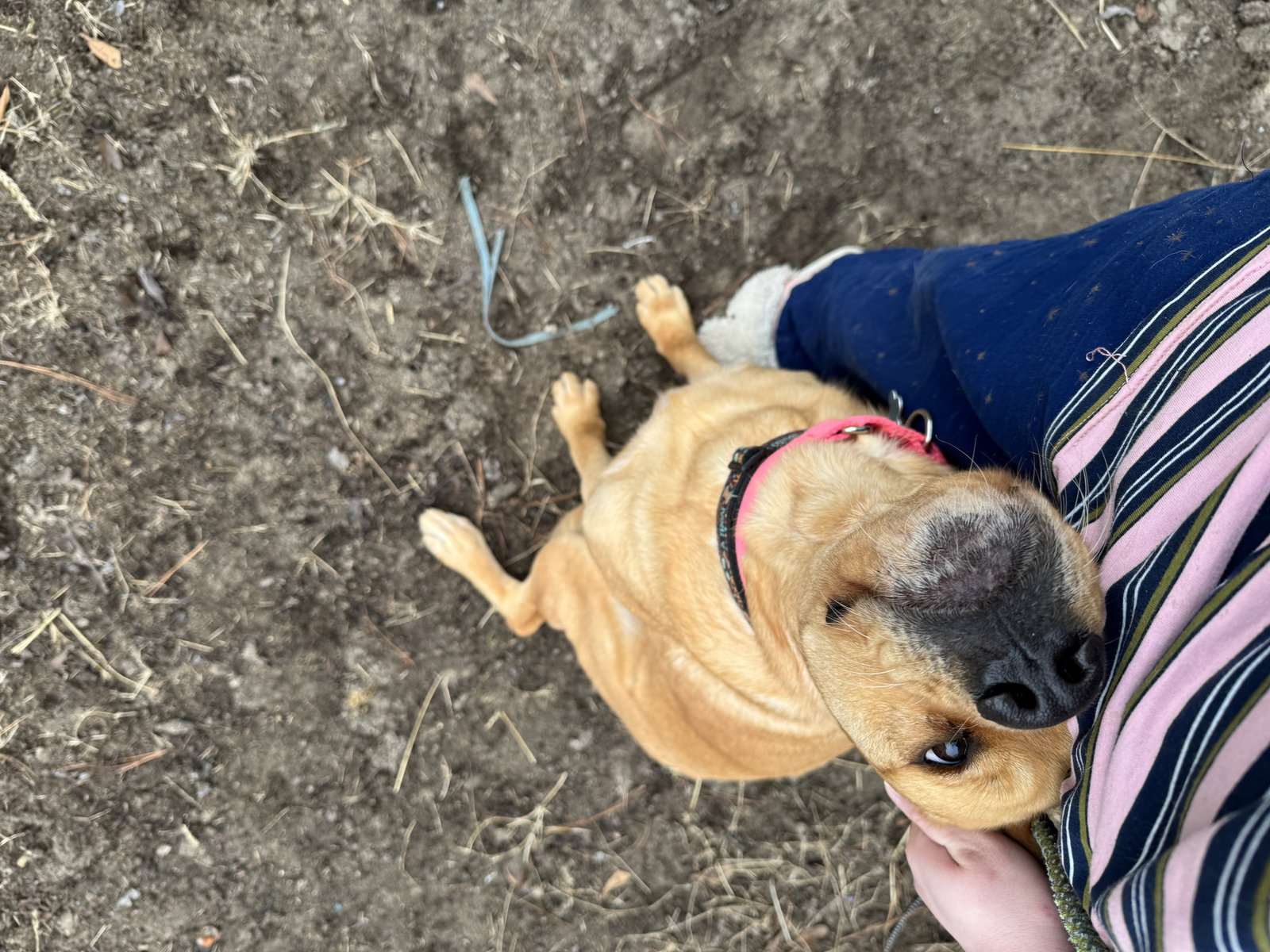 Peaches, photo 21