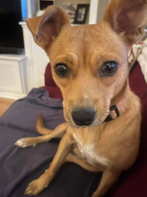Rosie Jane