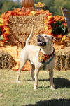 Charles Rocky - 