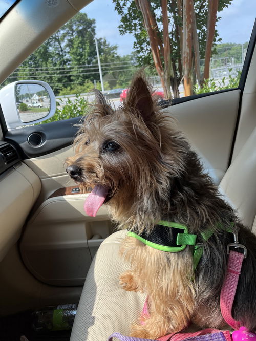Molly Mae