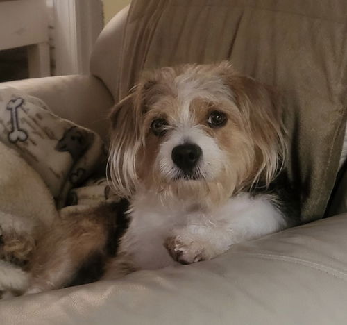 Minnie
