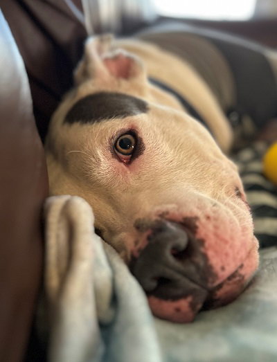 Buster