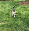 Finley