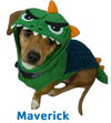 Maverick