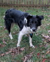 Charley
