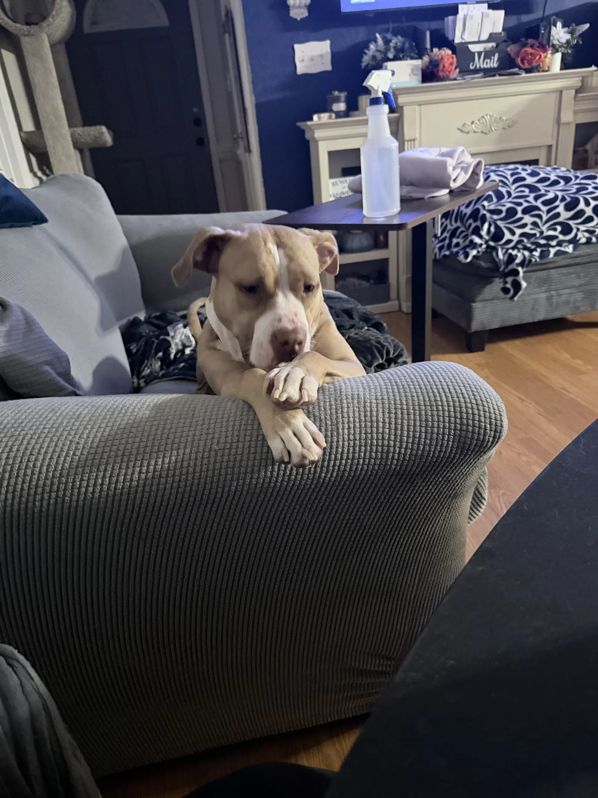 Macy May image 3