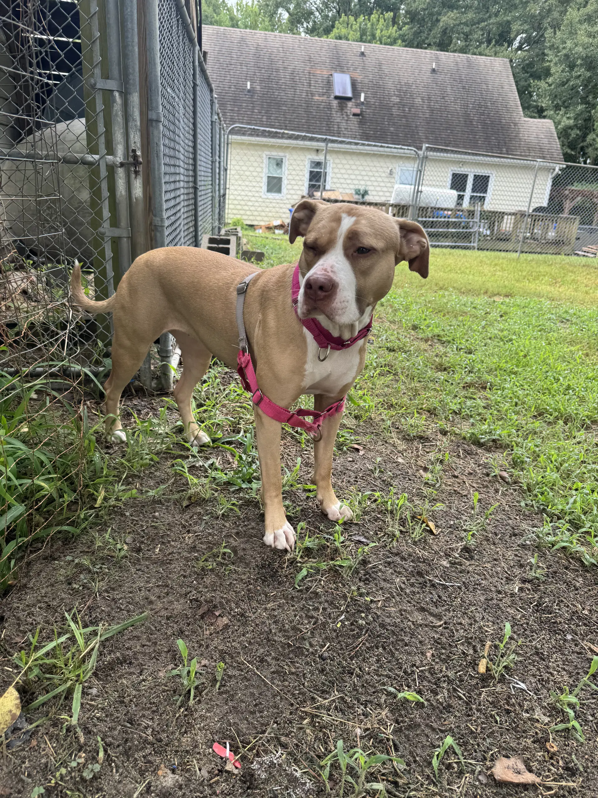 Macy May image 4