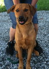 Tonka (Rocky/Titan)