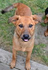 Tonka (Rocky/Titan)