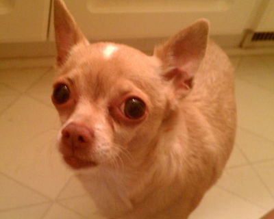 Roxie