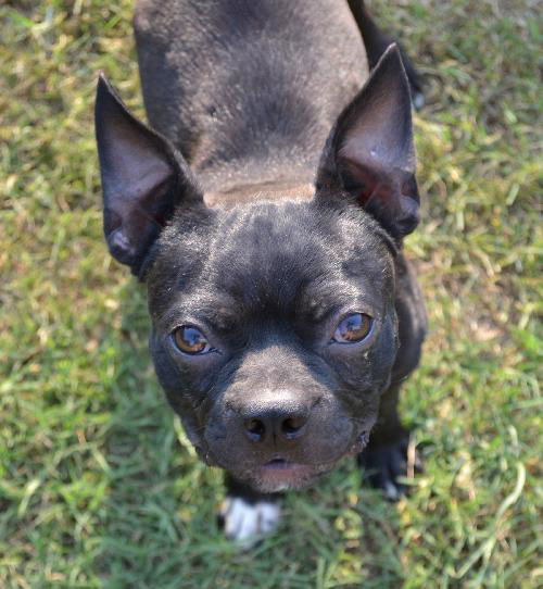 Mick aka Buddy
