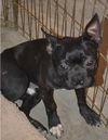 Mick aka Buddy