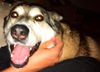Shiloh
