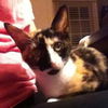 Millie