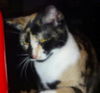 Millie