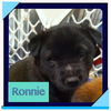 Ronnie (now Kiernan)