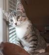 Princess Grayce