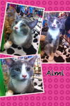 Aimi (now Cleo)