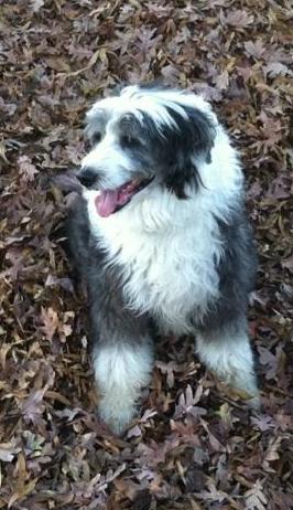 Murphy