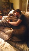 Buster (now Sullivan 