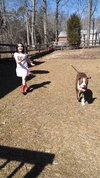 Buster (now Sullivan 