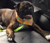 Tyson (now Jake)