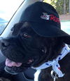 Tyson (now Jake)