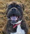 Tyson (now Jake)