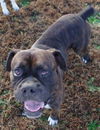 Tyson (now Jake)