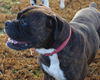 Tyson (now Jake)