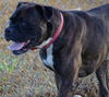 Tyson (now Jake)