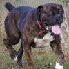 Tyson (now Jake)