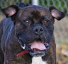 Tyson (now Jake)