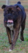 Tyson (now Jake)