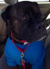 Tyson (now Jake)
