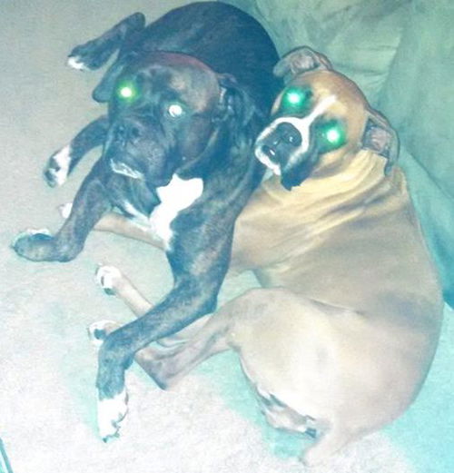 Tyson (now Jake)
