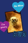 Bud (now Riley)