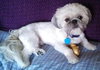 Bud (now Riley)