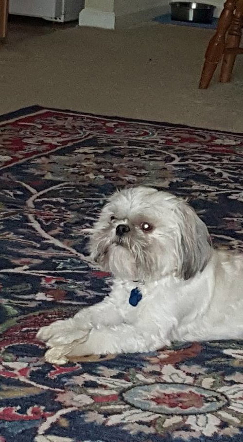 Bud (now Riley)