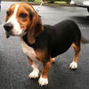 Shawty (now Roscoe)