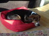 Shawty (now Roscoe)