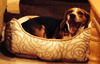 Shawty (now Roscoe)