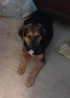 Gunther