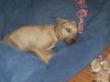 Staley fna Charlie nka Riley