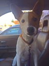 Truman