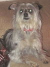 Miss Lilly