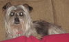 Miss Lilly