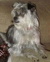 Miss Lilly